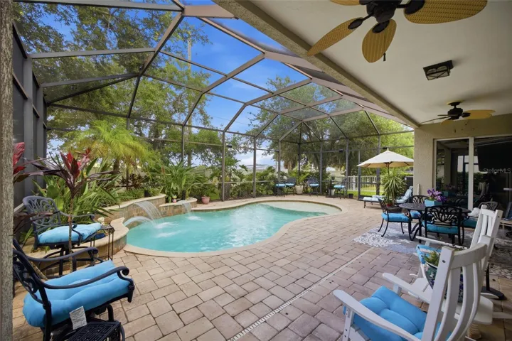 Beautiful Pool