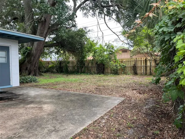 Backyard