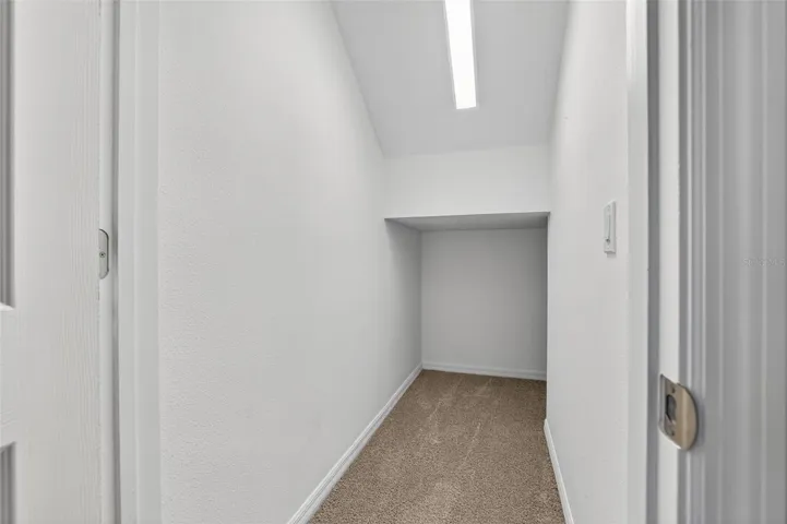 Downstairs Under the Stairs Storage