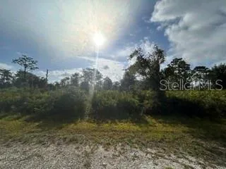 EL DORADO ACRE, GOLDEN ONE