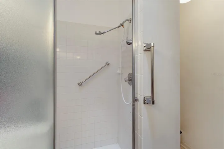Primary Bath Shower