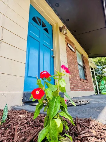 These flowers say 