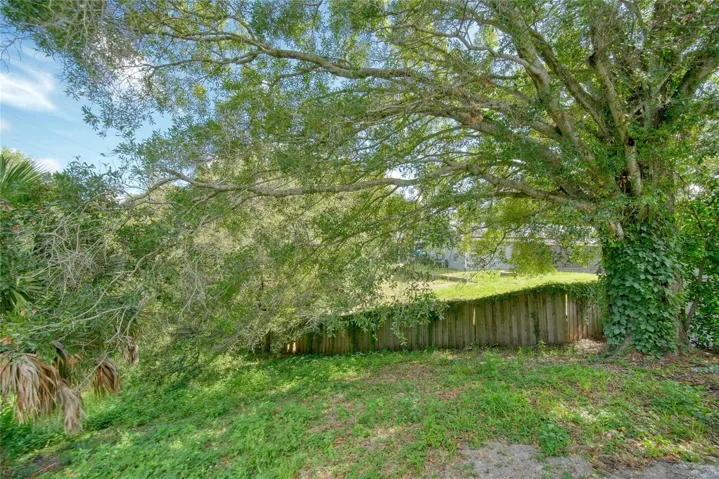 View of the Backyard
