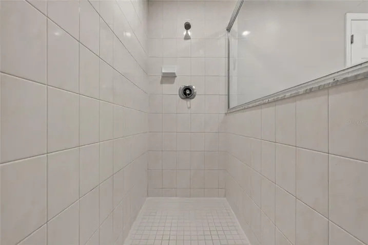 Primary Shower