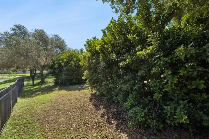 Fenced in Yard