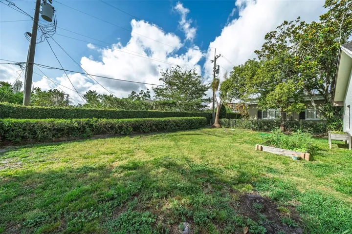 Backyard