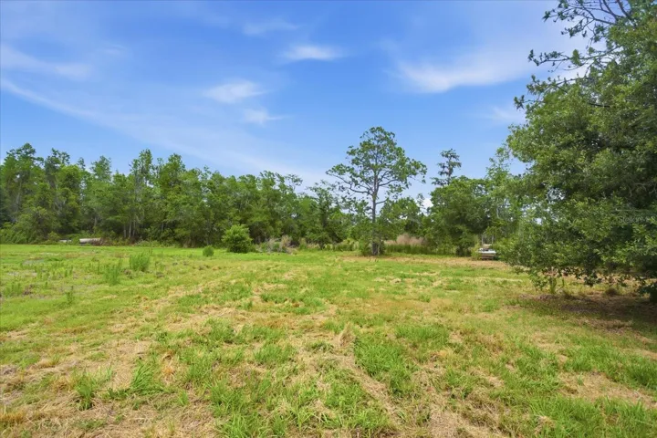 Field View