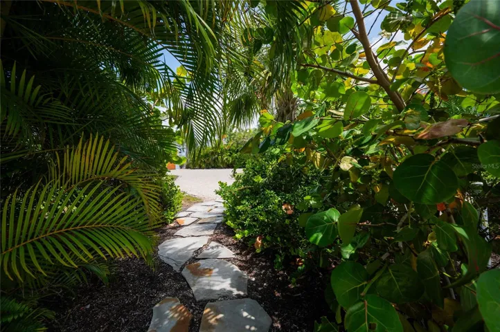 Tropical pathway between 240 and 242 Gladiolus