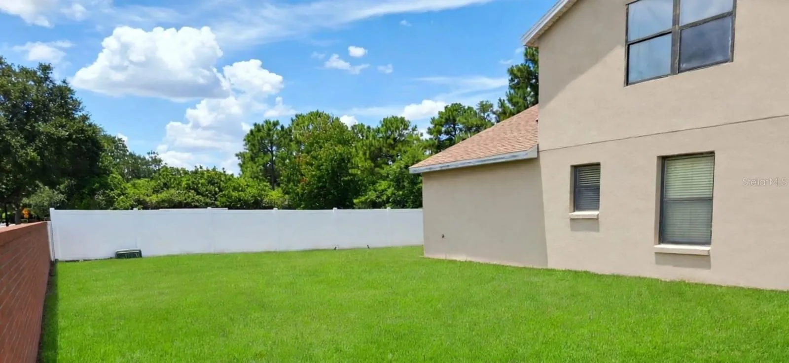 back yard