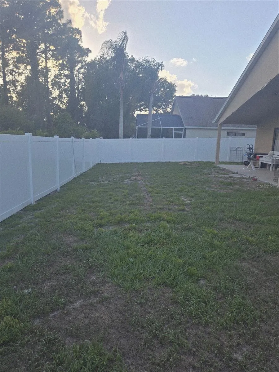Backyard