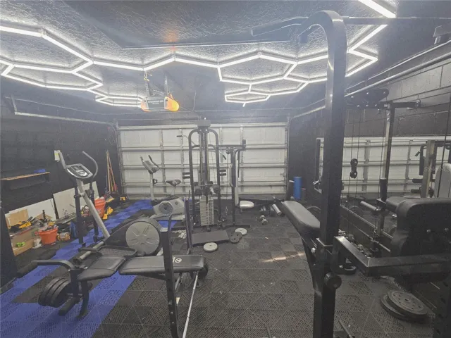 Garage / in home gym