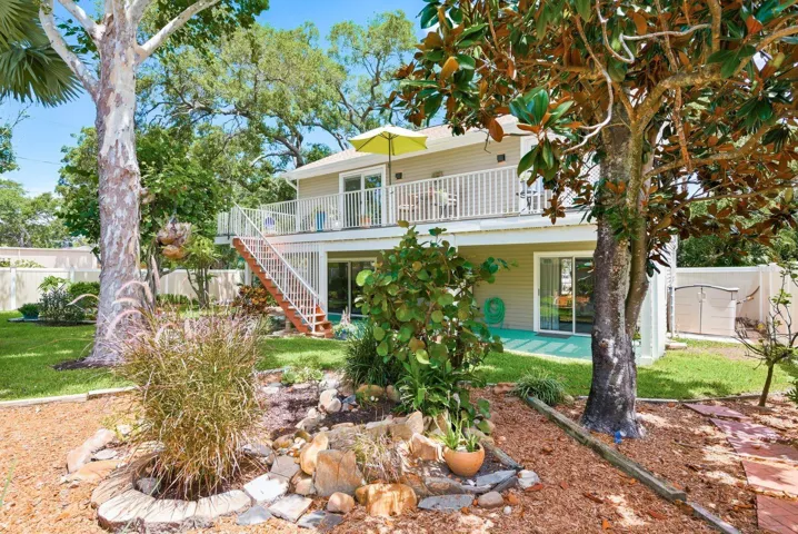 Garden with sycamore, florida wysteria, red maple, Palm tree, sea grape, hibiscus, frangipani & magnolia tree.