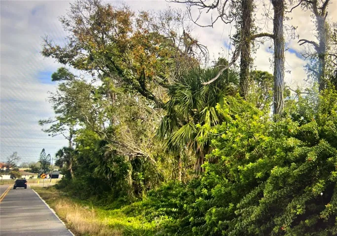 Road View