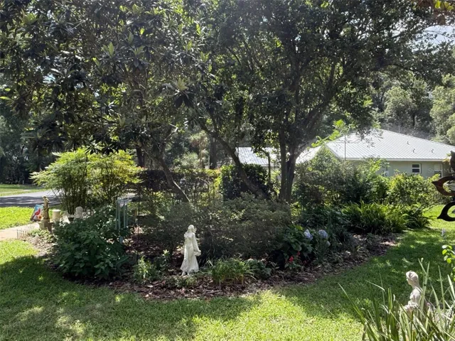 FRONT YARD