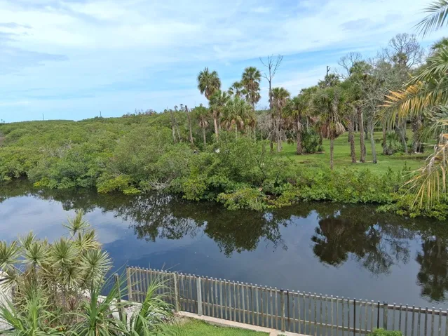 How would you like this for a view?