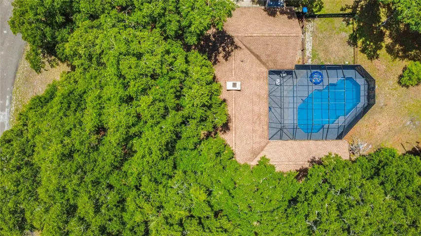 Beautiful mature landscaping offers exceptional privacy around the pool