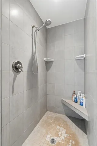 Primary Shower