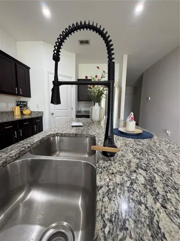 Upgraded industrial faucet and double stainless steel sink custom set in the granite island