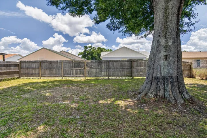 Huge Backyard