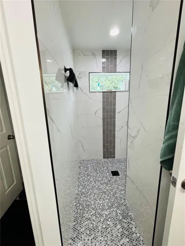 Master walk-in Shower