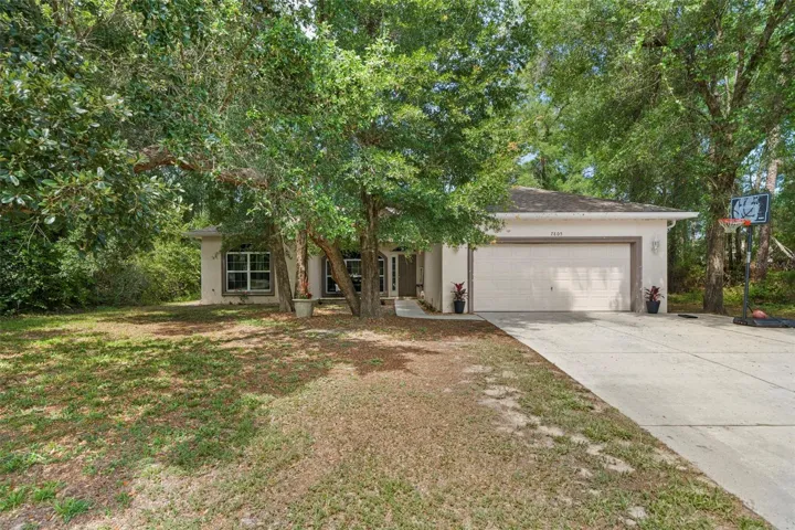 Large Front Yard