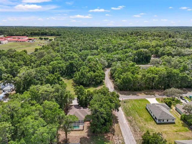 Aerial View of the Backyard