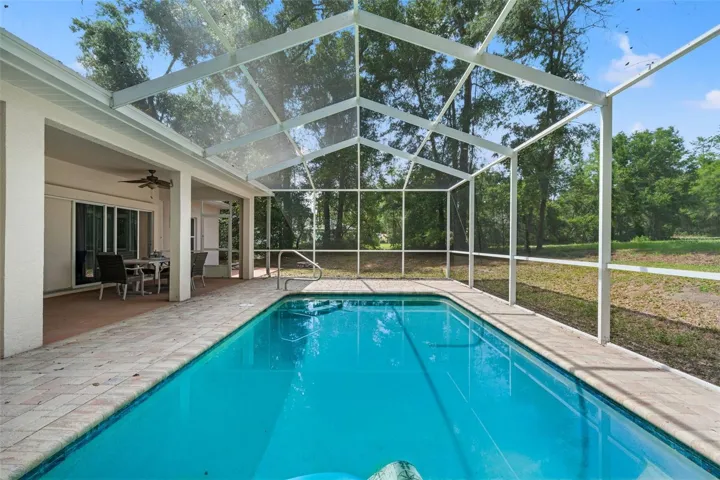 Tall Cage over Pool
