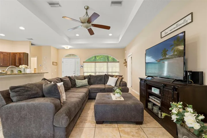 Tray Ceilings in Living Room