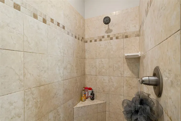 Curbless Shower Guest Bath