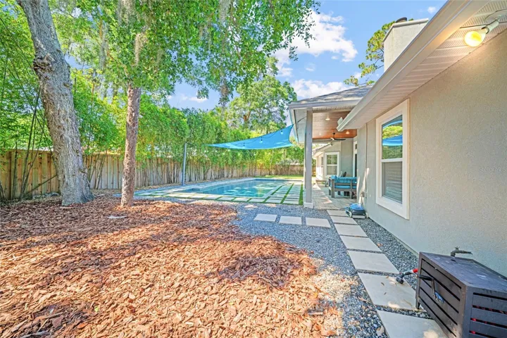 Back yard