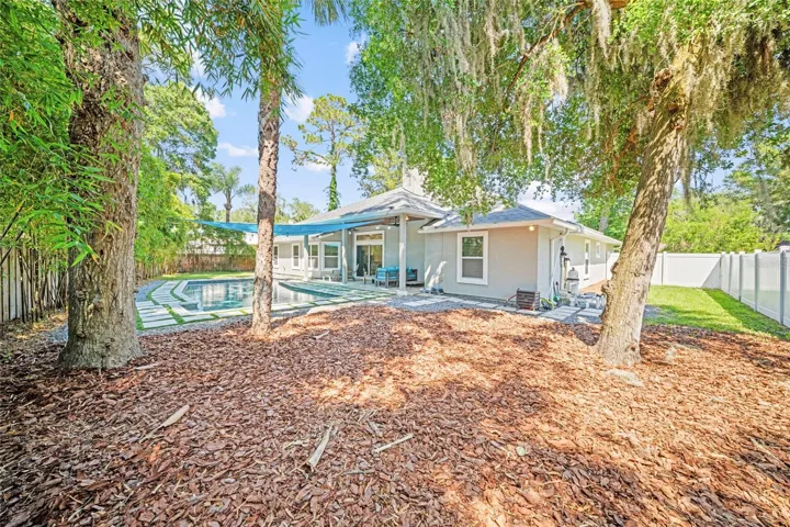 Back yard
