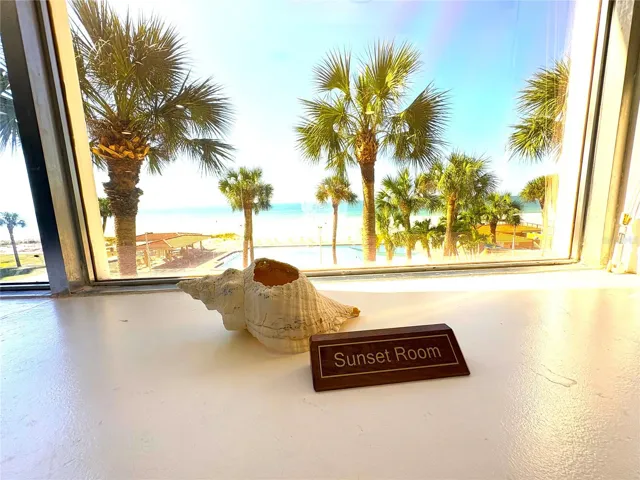 Picturesque window views framed by tropical palms and coastal charm.