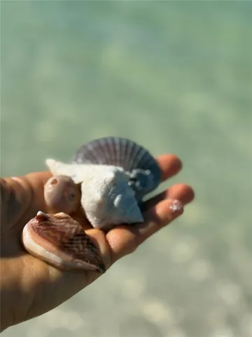 Spend your afternoons collecting treasures along the world-renowned shoreline.