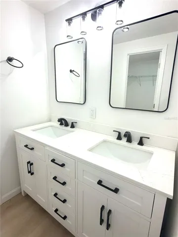 Double sink Master