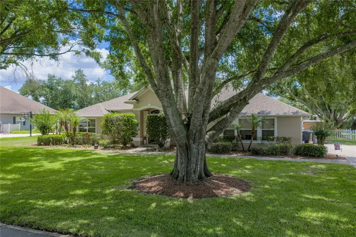 The twin oaks provide great shade to the front yard.