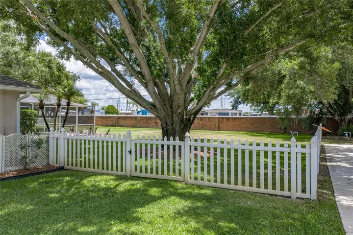 The stately oaks in the backyard.
