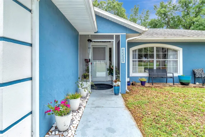 Front Door and Path