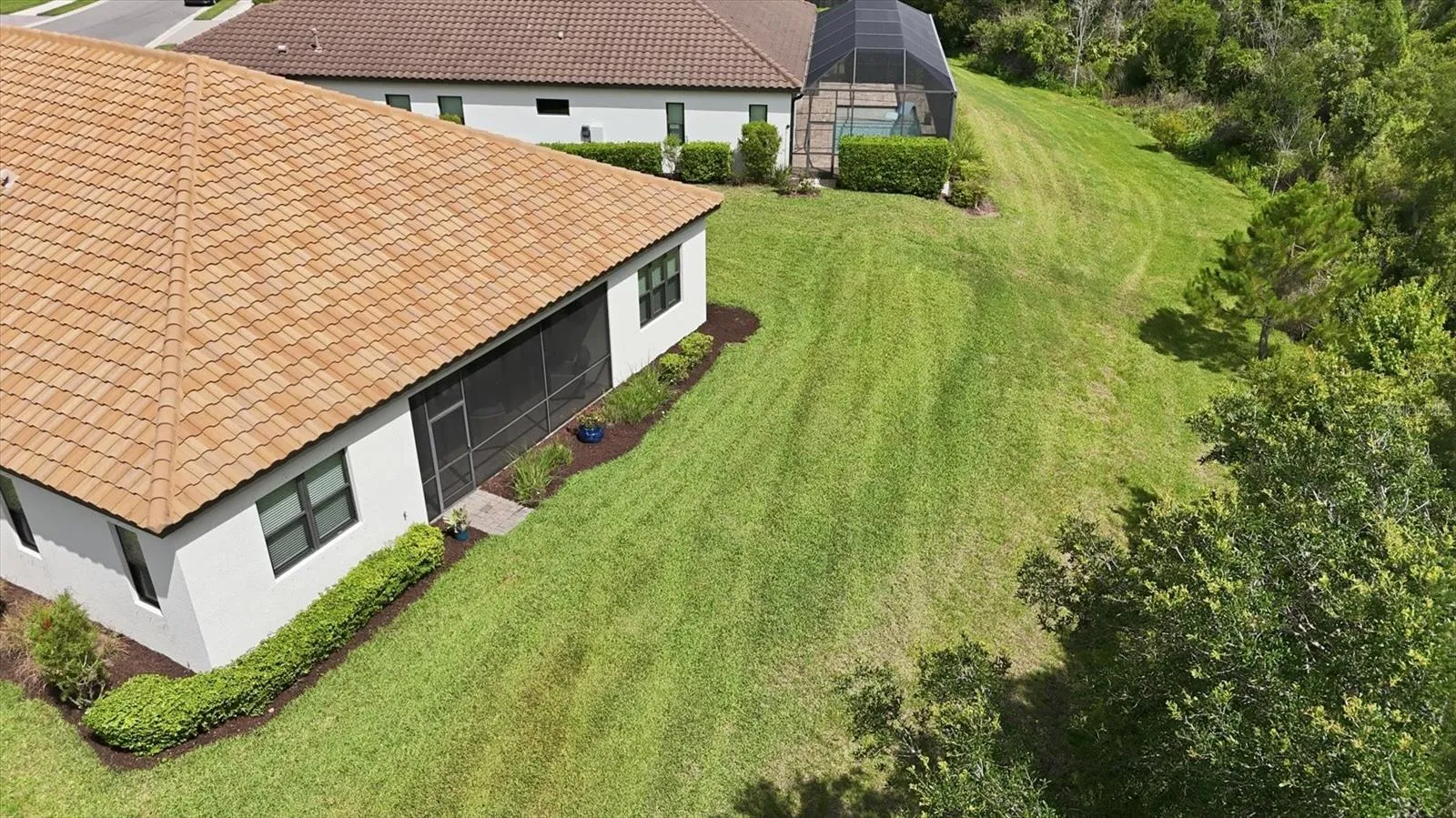 Private backyard (NEIGHBORS)