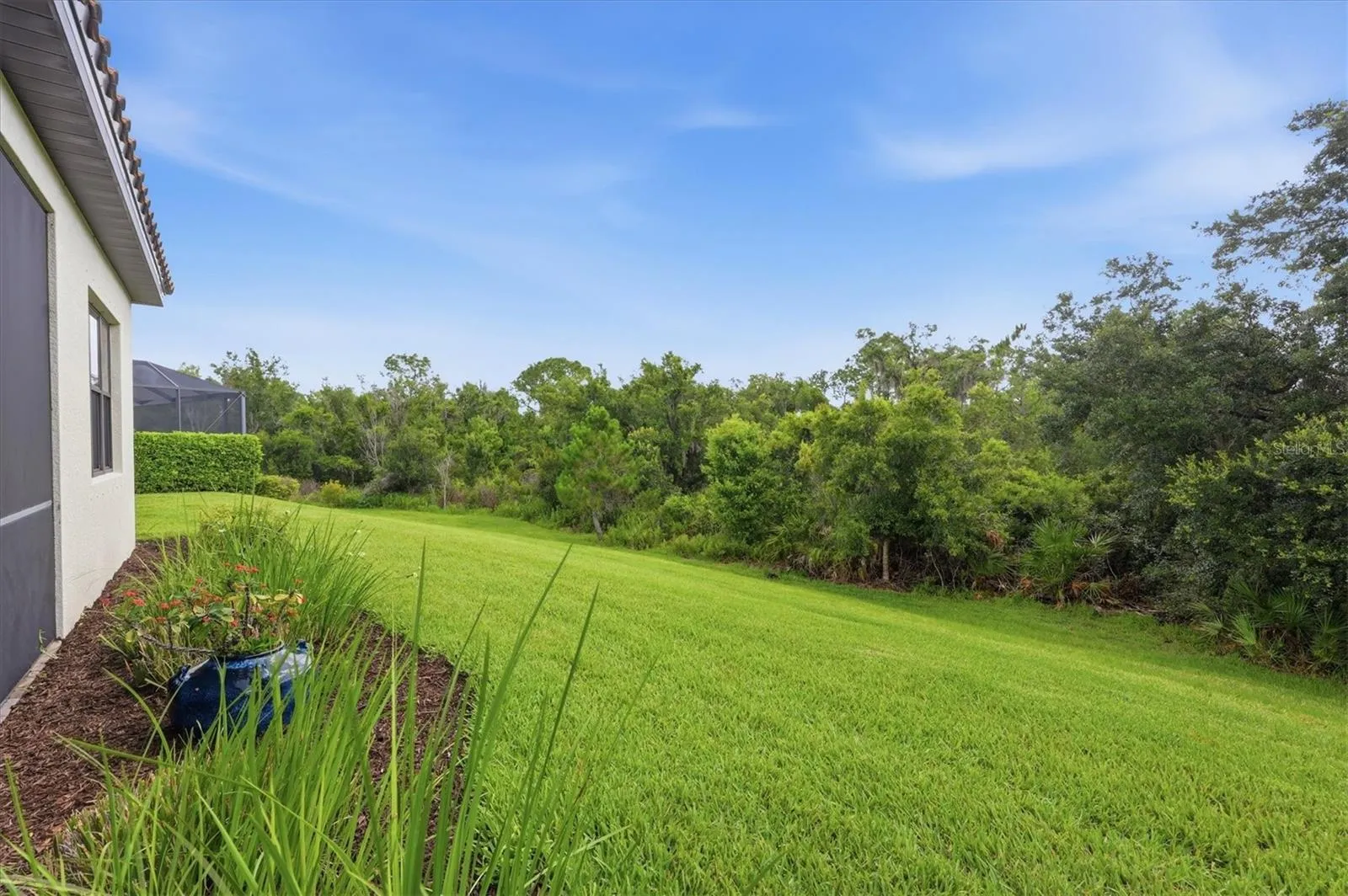 Private backyard (NEIGHBORS)