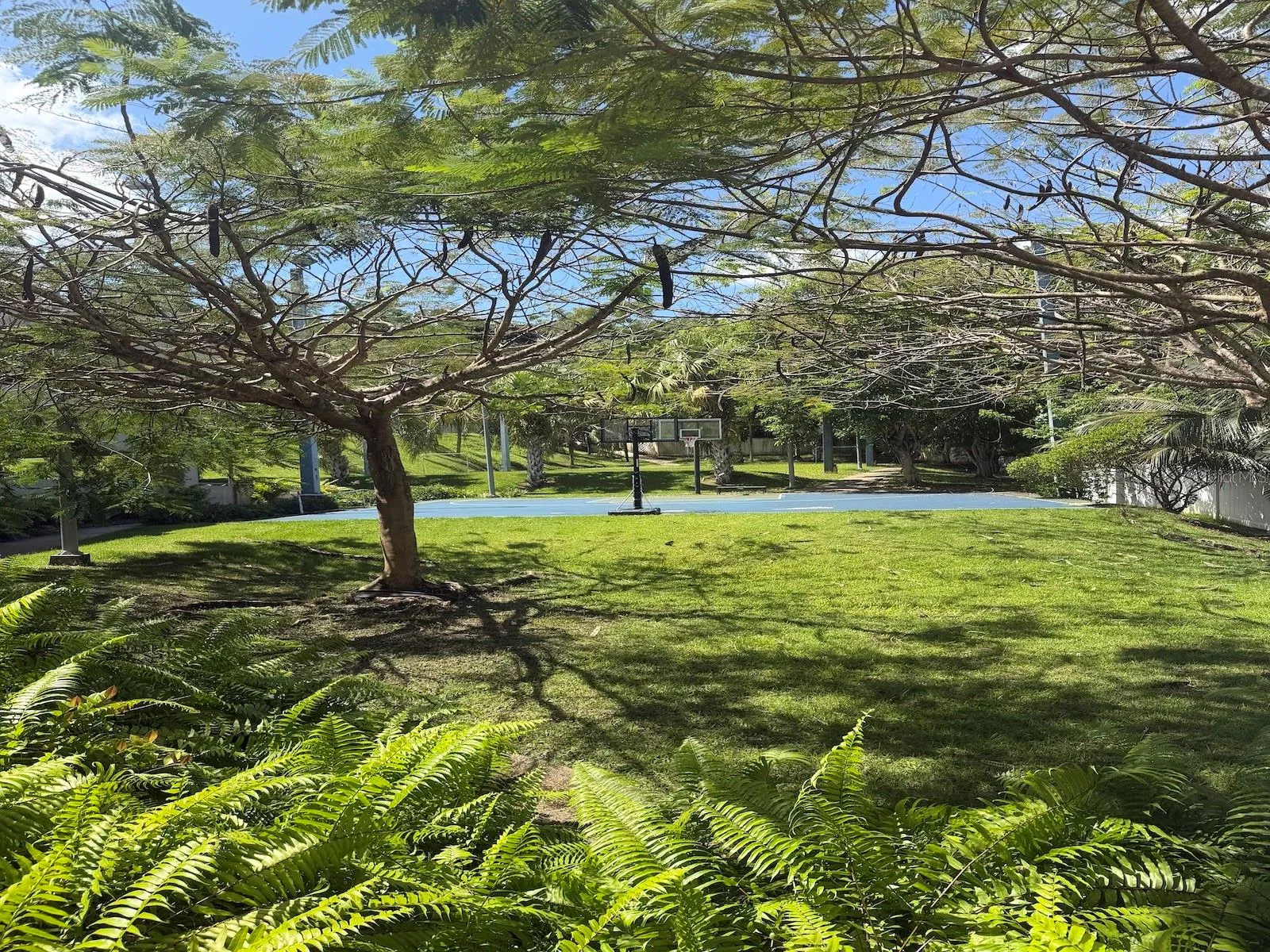 Court/ park