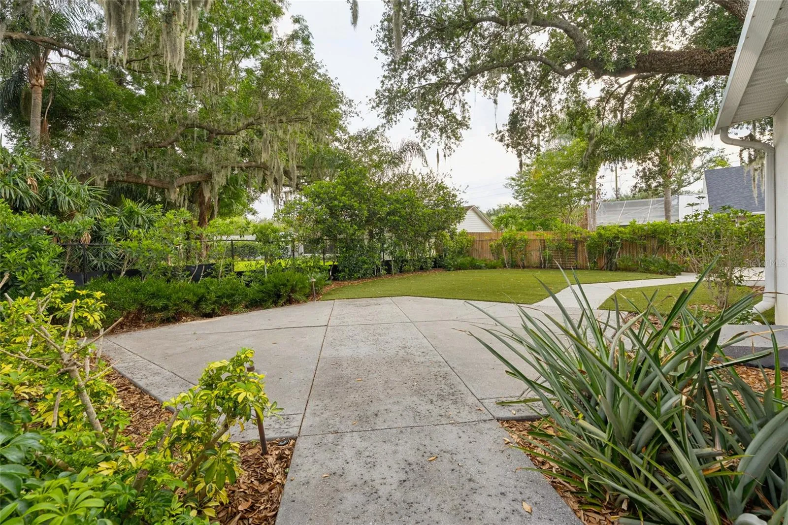 Backyard