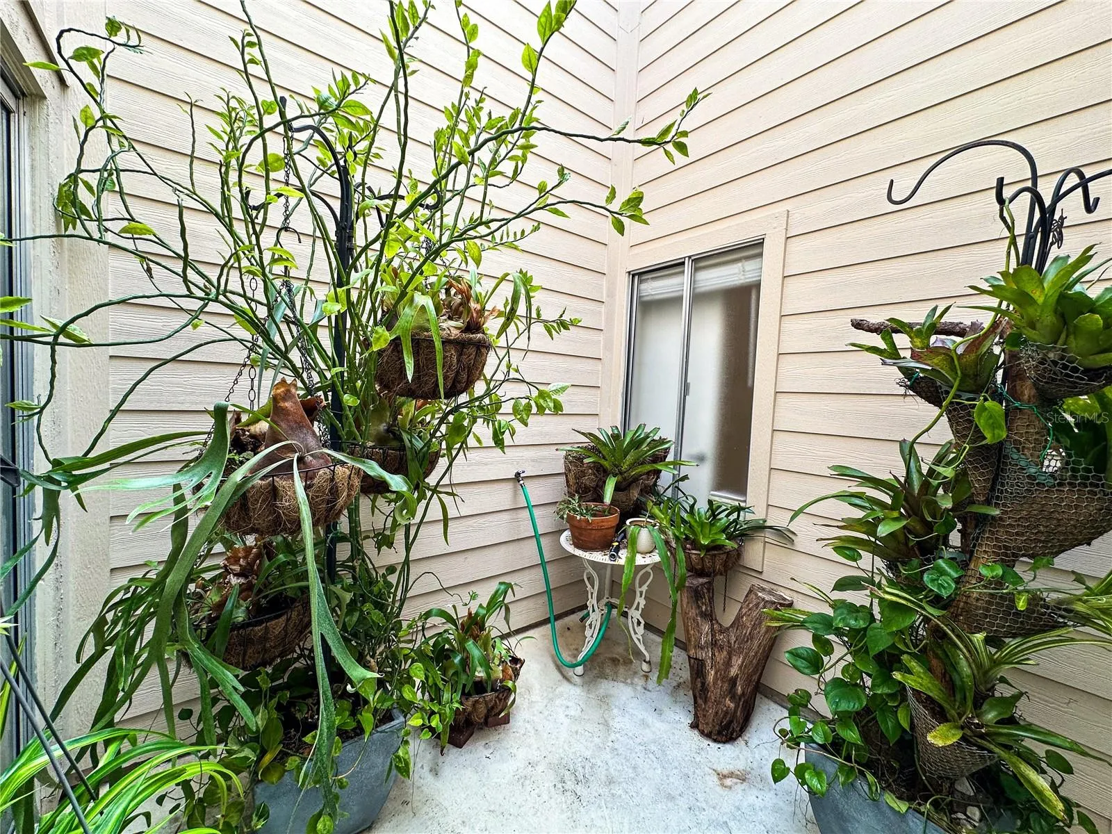 Interior  Garden