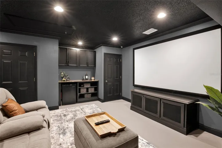 Movie room in Garage