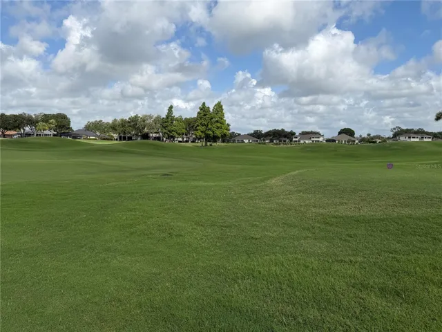 This is your backyard view