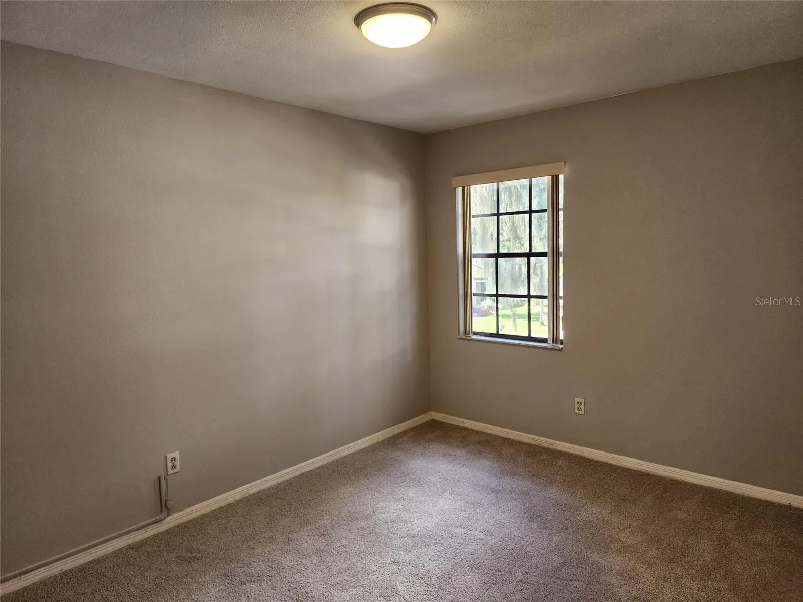4308 Kipling Ave, Plant City, Florida 33566 — photo 36