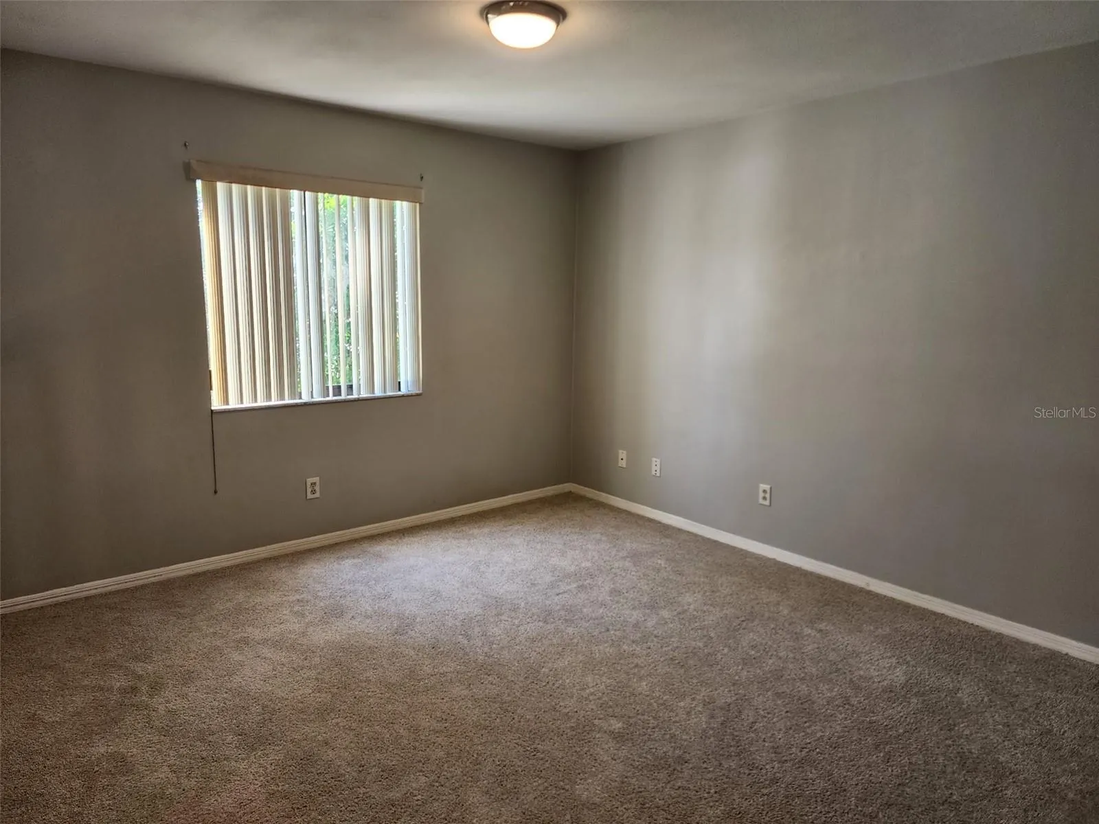 4308 Kipling Ave, Plant City, Florida 33566 — photo 29