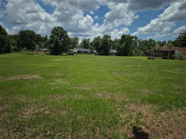 Backyard View