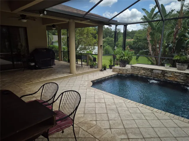 Pool and Back View