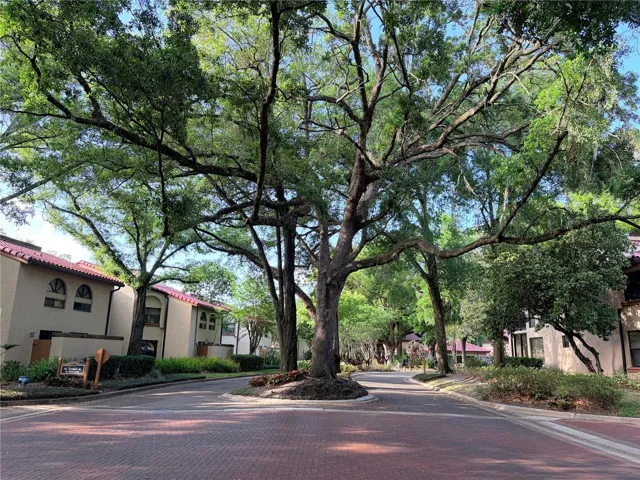 Lake Pineloch Boulevard