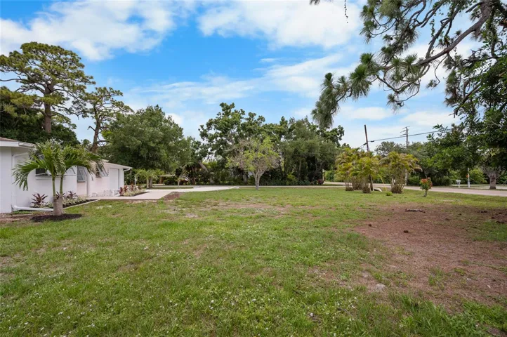 Spacious Back Yard